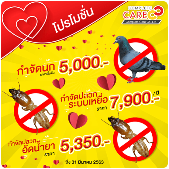 itooplus Image slide20