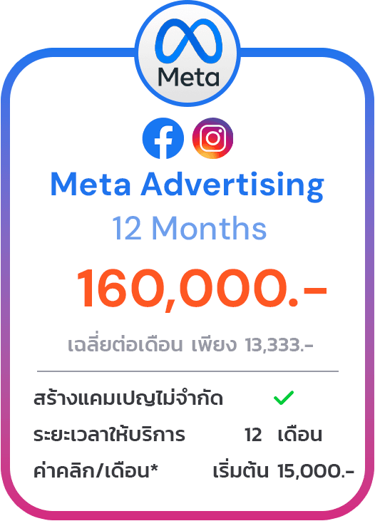 Meta Advertising 12 Months Package