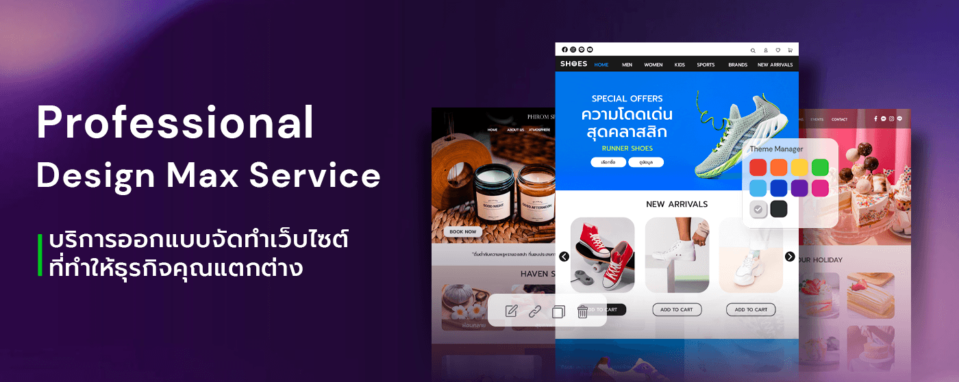Professional Design Max Service